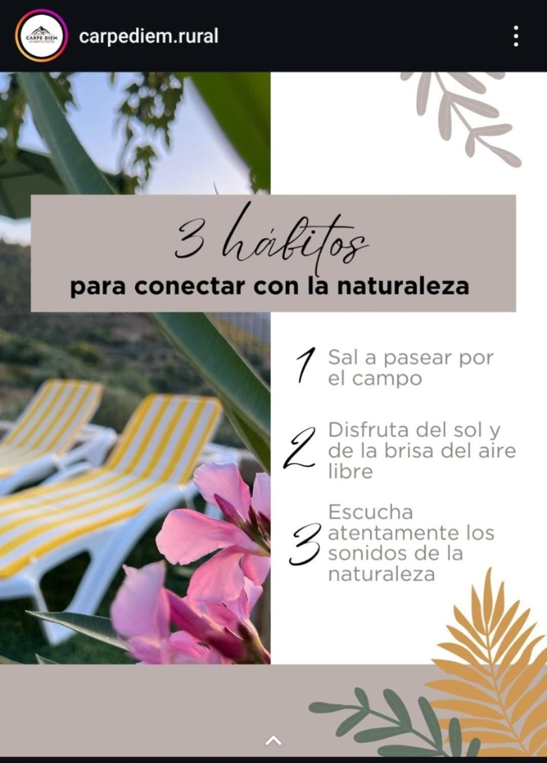 Casas Rurales Carpe Diem Yeste Exterior foto